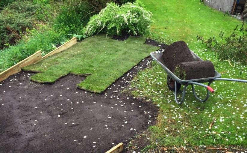 gräsmatta rullas ut